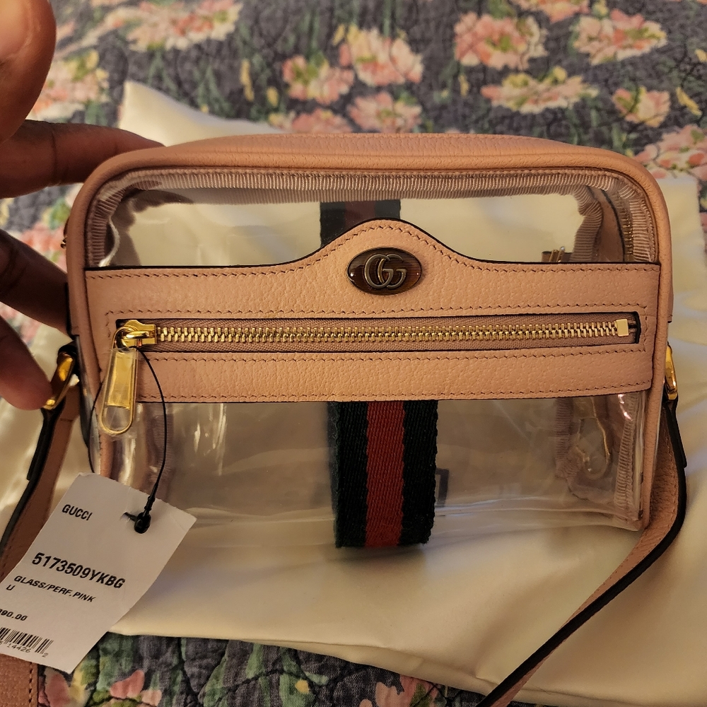 Gucci ophidia Transparent crossbody bag